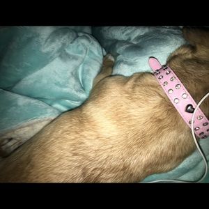 Meet your Posher, Emilia